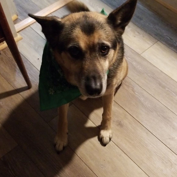 Meet your Posher, Kelley - Picture 1 of 1